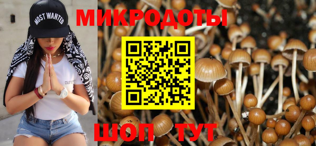 даркнет сайт  Вход с VPN  Назарово  Галлюциногенные грибы Magic Shrooms 